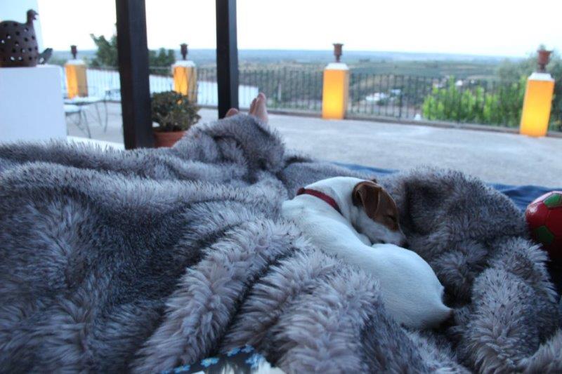 Kurztrip nach Portugal, Casa da Moira in Avis. Kuscheln auf der Terrasse mit dem kleinen Hund