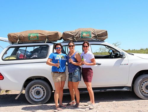 Namibia Safari Dachzelt