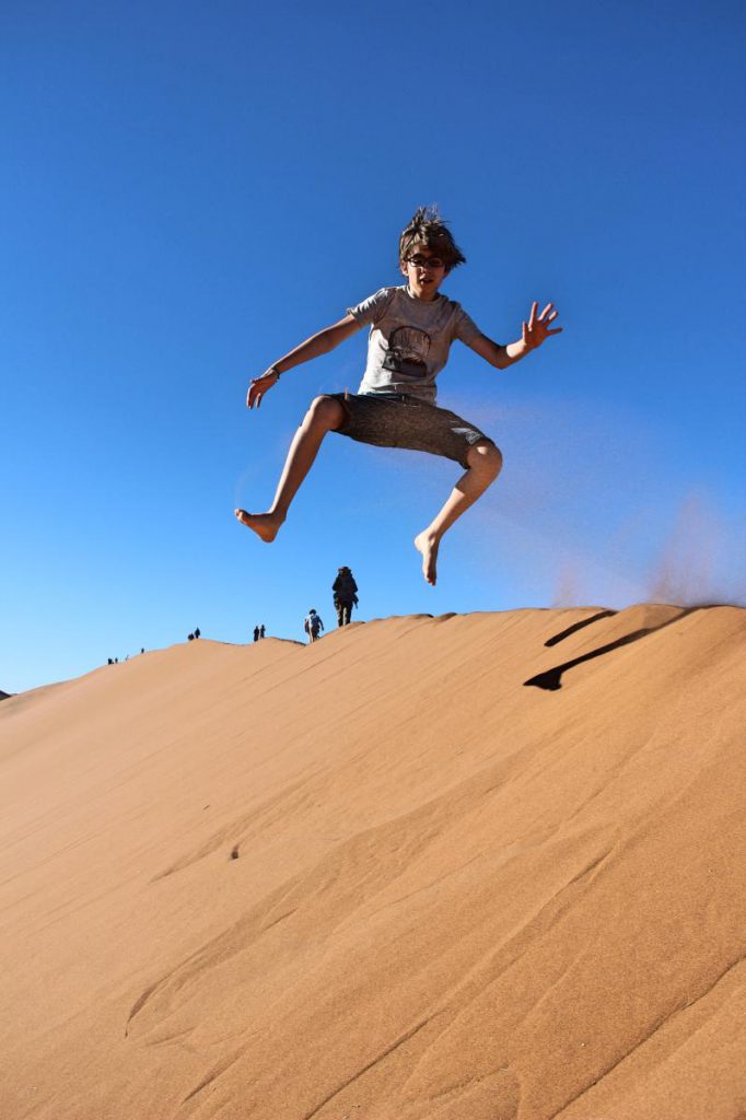 namibia safari mit kind