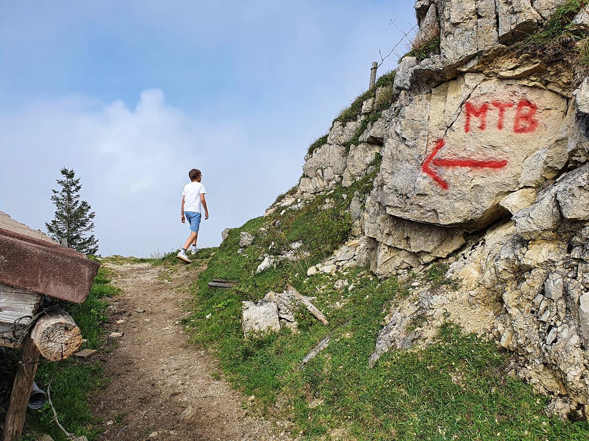 Ausflüge mit Kindern, Ausflüge mit Teenager, Bayern, Wandern, Biken